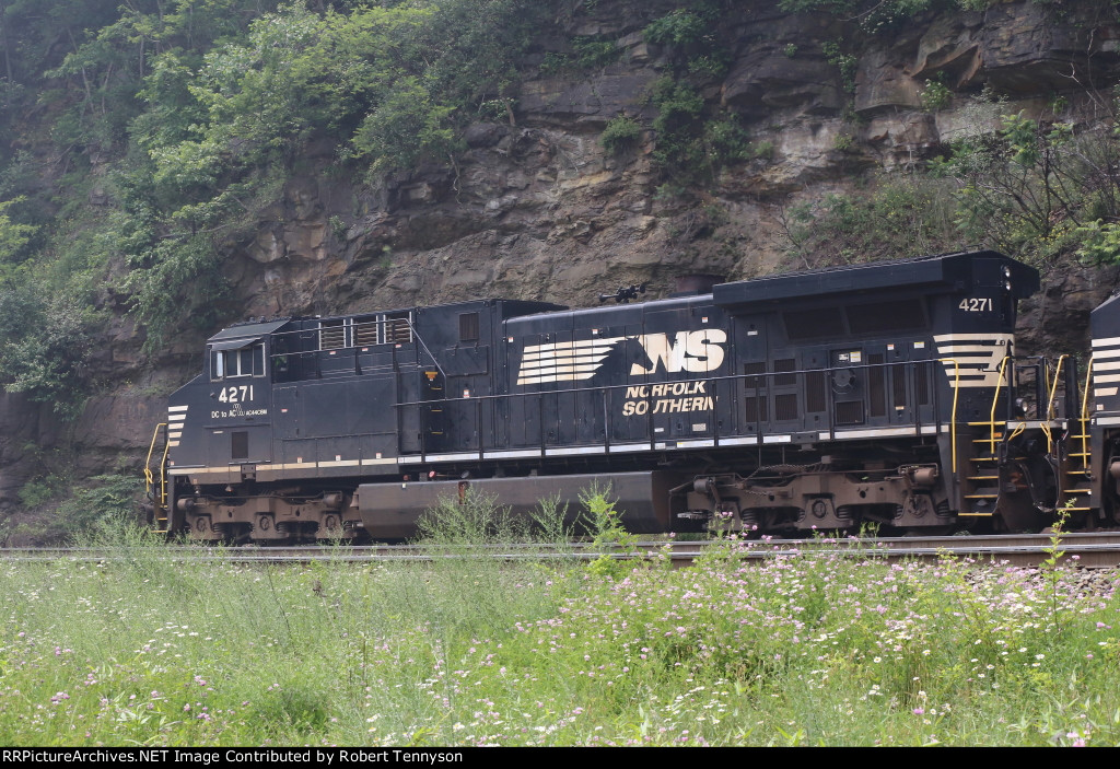 NS 4271